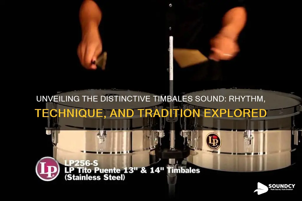 what gives timbales unique sound