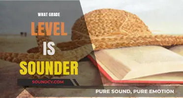 Sounder's Reading Level: A Guide for Parents and Educators