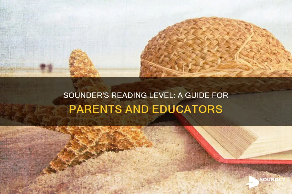 what grade level is sounder