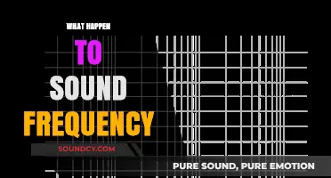 Exploring Sound Frequency: How It Changes and Impacts Our Perception