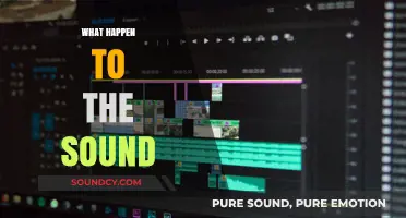 Exploring the Mysterious Disappearance of Sound: Causes and Effects