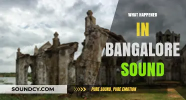 Unraveling Bangalore's Mysterious Sound: Causes, Reactions, and Aftermath