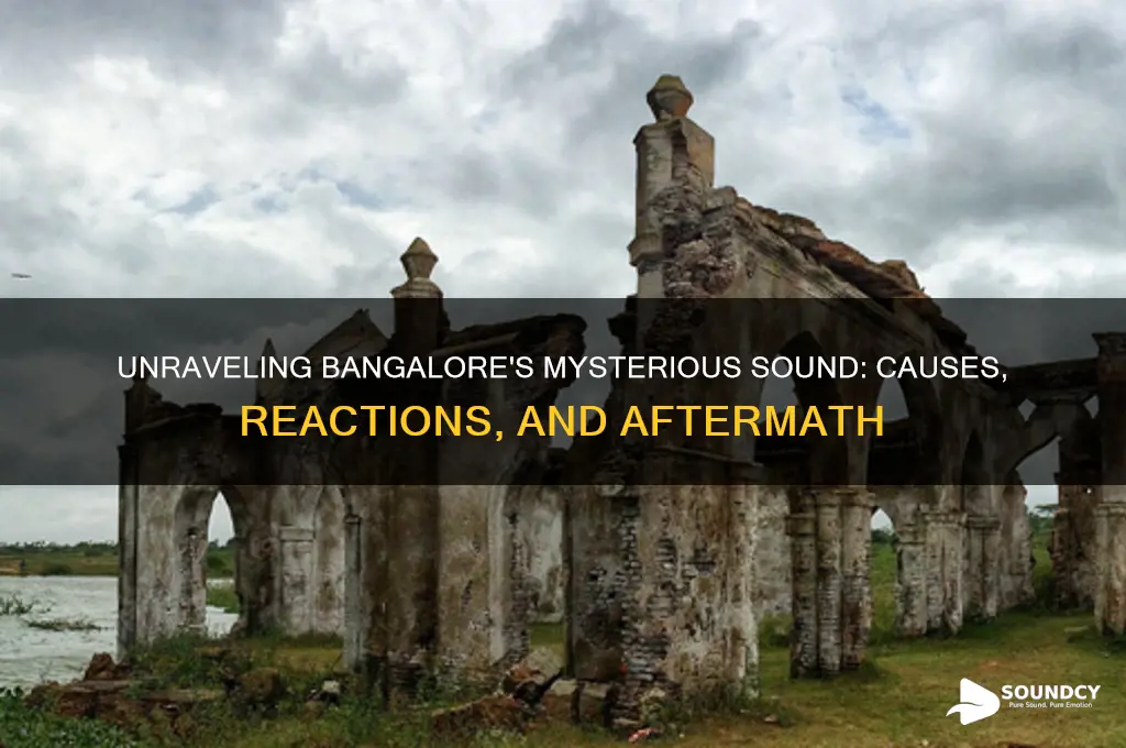 what happened in bangalore sound