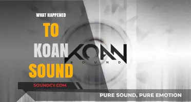 Koan Sound's Disappearance: Unraveling the Mystery Behind Their Silence