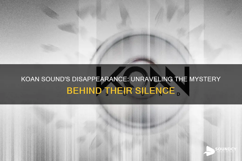 what happened to koan sound