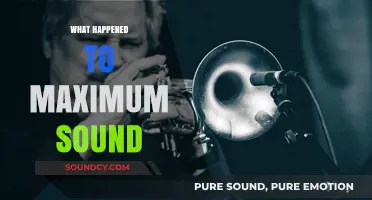 The Mysterious Disappearance of Maximum Sound: What Really Happened?