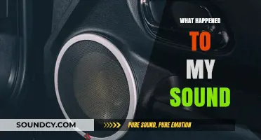 What Happened to My Sound? Troubleshooting Audio Issues Effectively