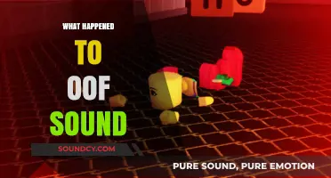 The Mysterious Disappearance of the Iconic Oof Sound Explained