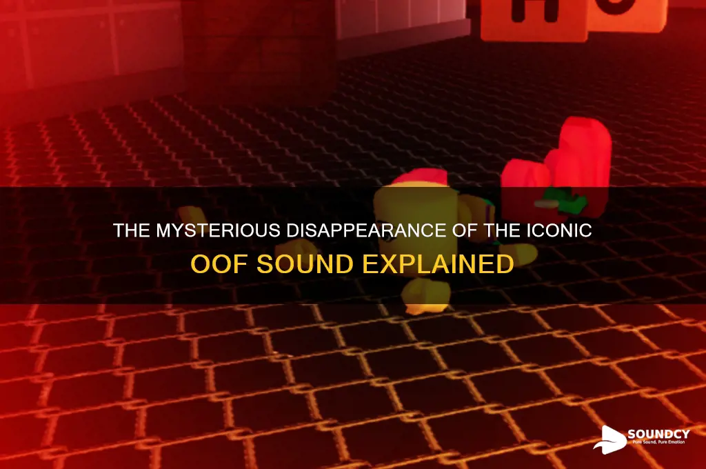what happened to oof sound