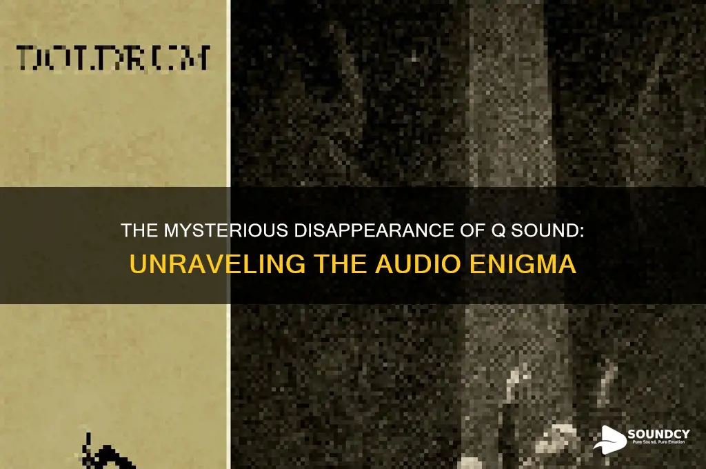 what happened to q sound