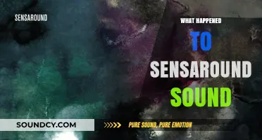 The Mysterious Disappearance of Sensaround Sound: What Really Happened?