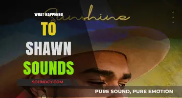 Shawn Sounds' Disappearance: Unraveling the Mystery Behind His Sudden Exit