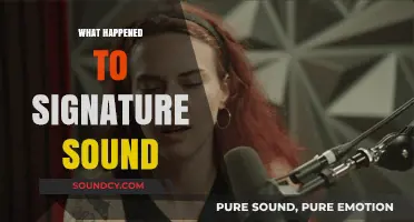 The Rise, Fall, and Legacy of Signature Sound: What Happened?