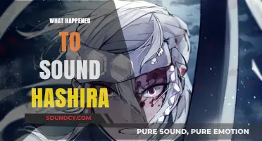 The Mysterious Fate of Sound Hashira: Unraveling the Untold Story