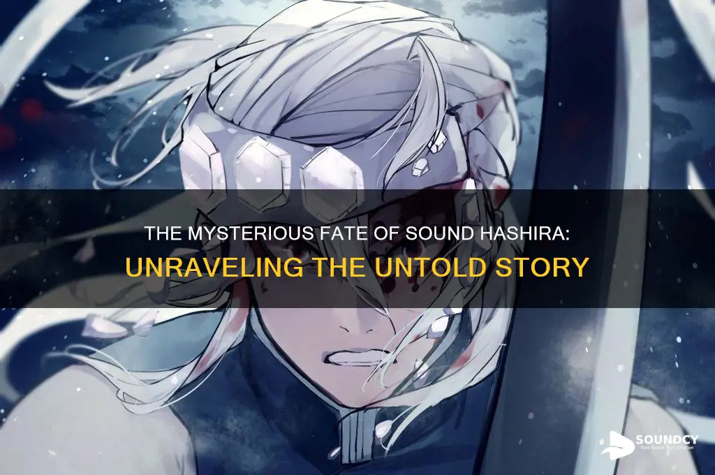 what happened to sound hashira