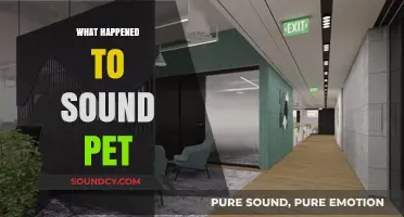 What Happened to Sound Pet? Unraveling the Mystery Behind Its Disappearance