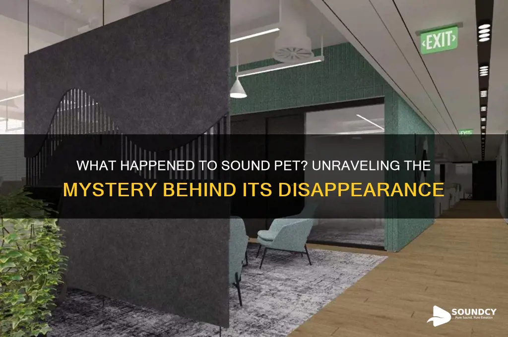 what happened to sound pet