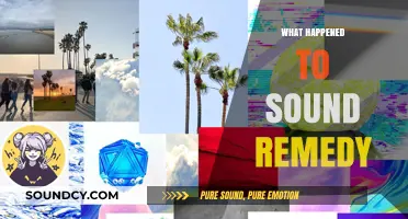 Sound Remedy's Disappearance: Unraveling the Mystery Behind the Silence