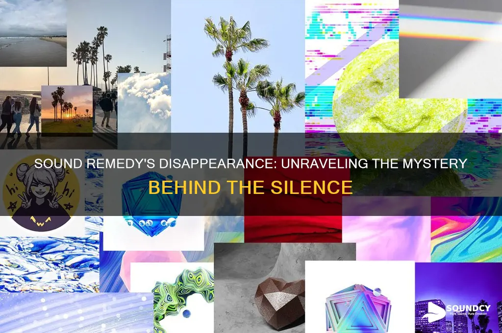 what happened to sound remedy