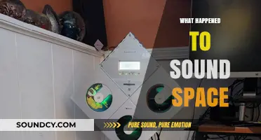 The Mysterious Disappearance of Sound Space: What Really Happened?