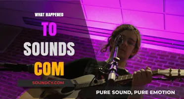 The Rise and Fall of Sounds.com: A Music Licensing Story
