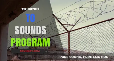 The Mysterious Disappearance of the Sounds Program: What Went Wrong?