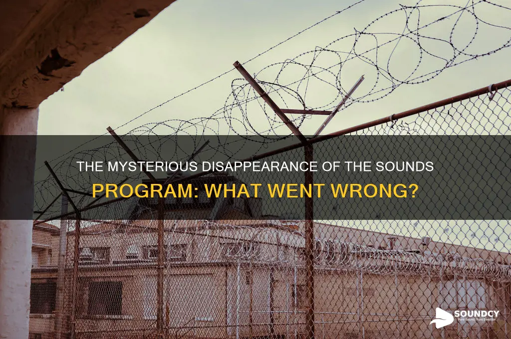 what happened to sounds program