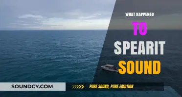 The Mysterious Disappearance of Spearit Sound: Unraveling the Enigma