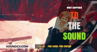 The Mysterious Disappearance of Sound: Unraveling the Silence