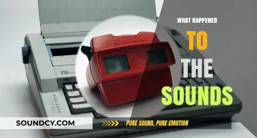 The Mysterious Disappearance of Familiar Sounds: What Happened?