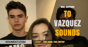 Vazquez Sounds: The Rise, Disappearance, and Legacy of the Viral Siblings