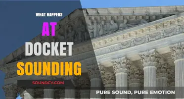 Understanding Docket Sounding: Key Procedures and Outcomes Explained