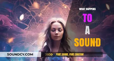 Exploring the Journey of Sound: From Creation to Perception and Beyond