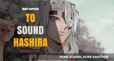 The Fate of Sound Hashira: Unraveling Tengen Uzui's Journey and Legacy