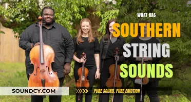 Exploring the Rich Musical Heritage of Southern String Sounds