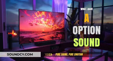 Exploring the Power of Sound Options: Enhance Your Audio Experience