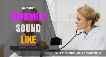 Understanding Heart Murmur Sounds: What to Listen For and Why