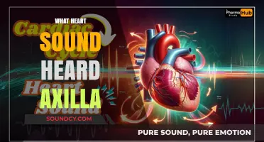 Understanding the Heart Sound Detected in the Axilla: A Comprehensive Guide