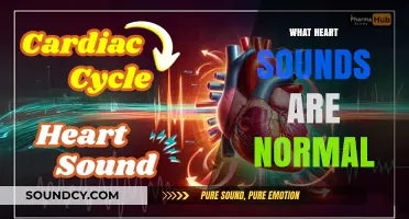 Understanding Normal Heart Sounds: A Comprehensive Guide to Cardiac Auscultation