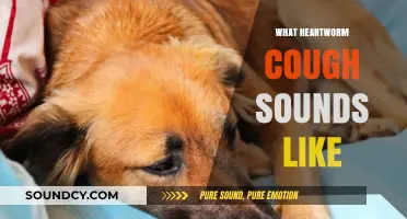 Recognizing Heartworm Cough: What It Sounds Like and Why It Matters