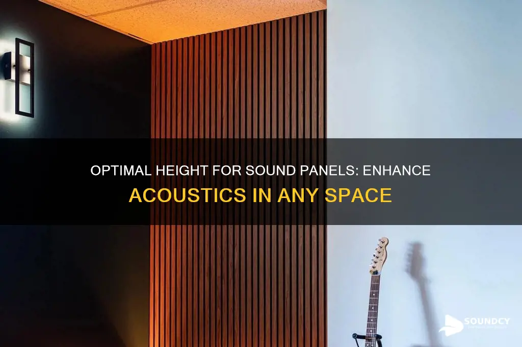 what height install sound panels