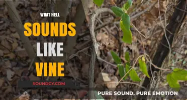 What Hell Sounds Like Vine: Decoding the Viral Sensation's Chaotic Echo