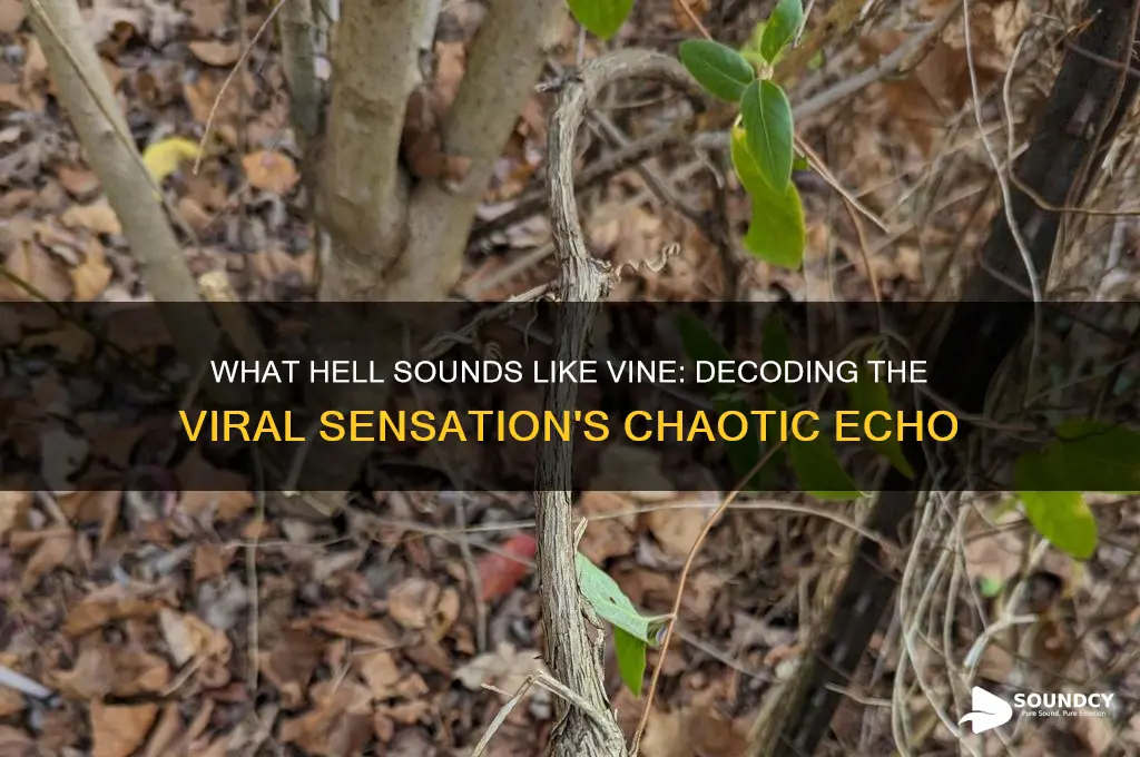 what hell sounds like vine