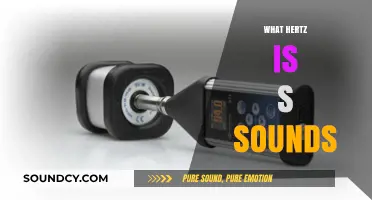 Understanding the Frequency: What Hertz Range Does the Letter S Sound Occupy?