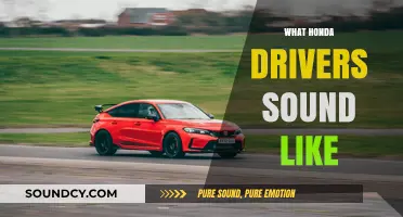 Revving Stereotypes: Decoding the Unique Chatter of Honda Drivers