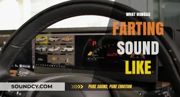 Unveiling the Unique Fart-Like Sounds of Honda Engines