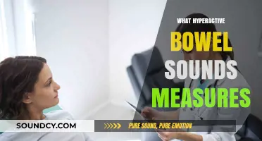 Understanding Hyperactive Bowel Sounds: What They Measure and Why It Matters