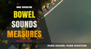 Understanding Hypoactive Bowel Sounds: Causes, Symptoms, and Diagnostic Measures