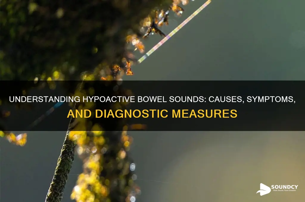 what hypoactive bowel sounds measures