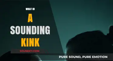 Exploring the Sounding Kink: Understanding Risks, Safety, and Consent